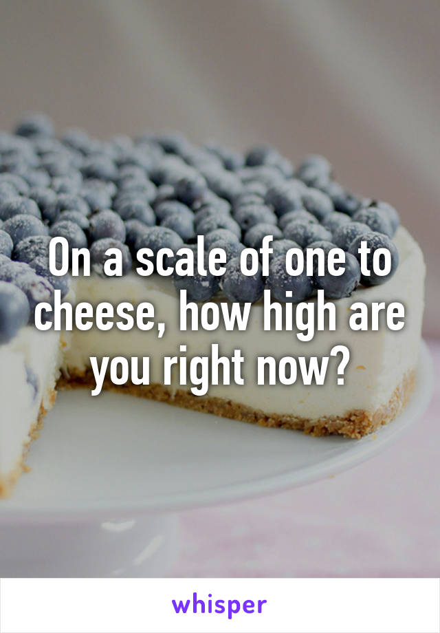 On a scale of one to cheese, how high are you right now?