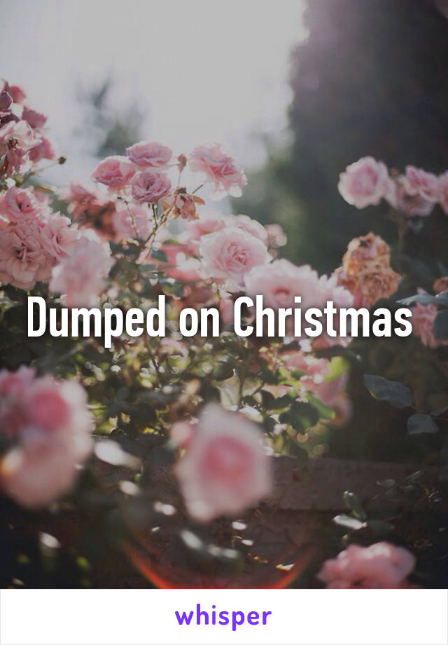 Dumped on Christmas 