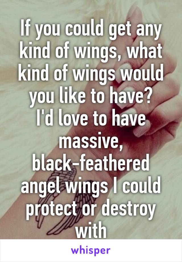 If you could get any kind of wings, what kind of wings would you like to have?
I'd love to have massive, black-feathered angel wings I could protect or destroy with