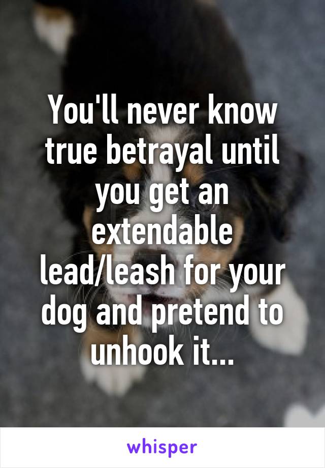 You'll never know true betrayal until you get an extendable lead/leash for your dog and pretend to unhook it...