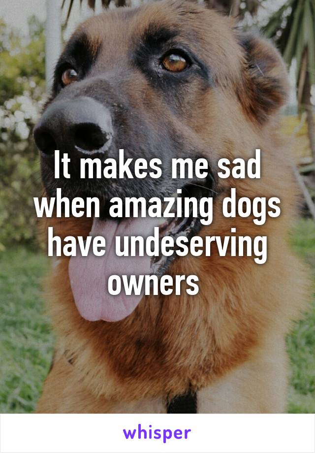 It makes me sad when amazing dogs have undeserving owners 