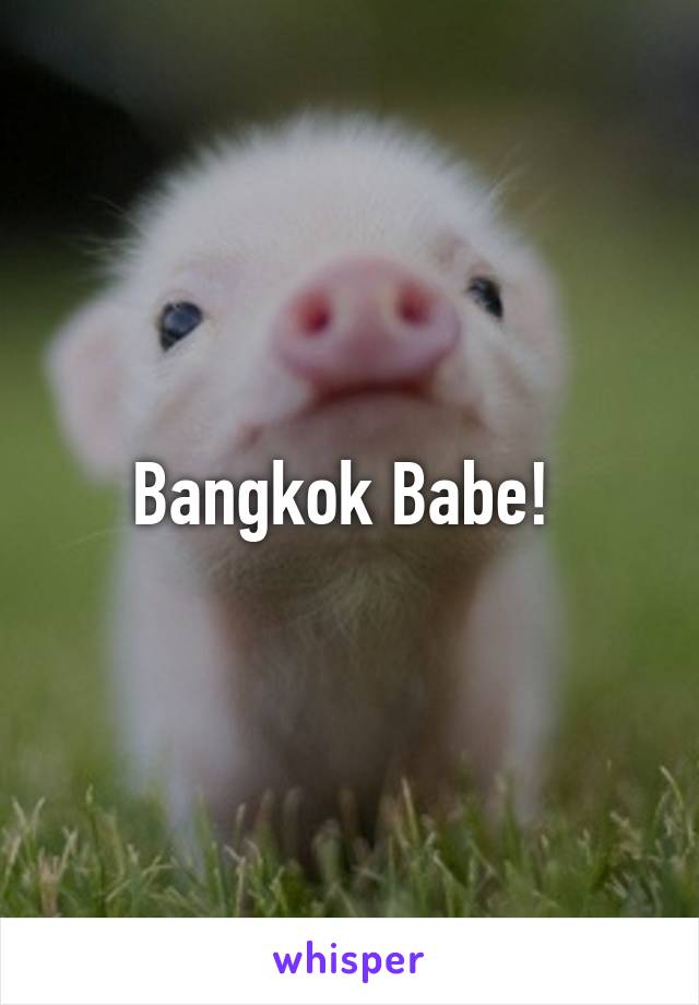 Bangkok Babe! 