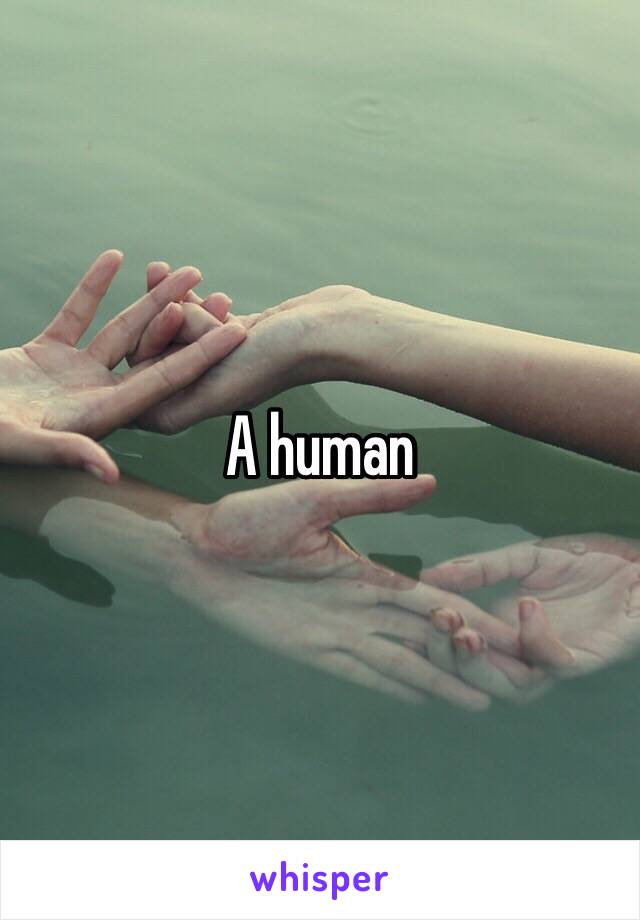 A human 