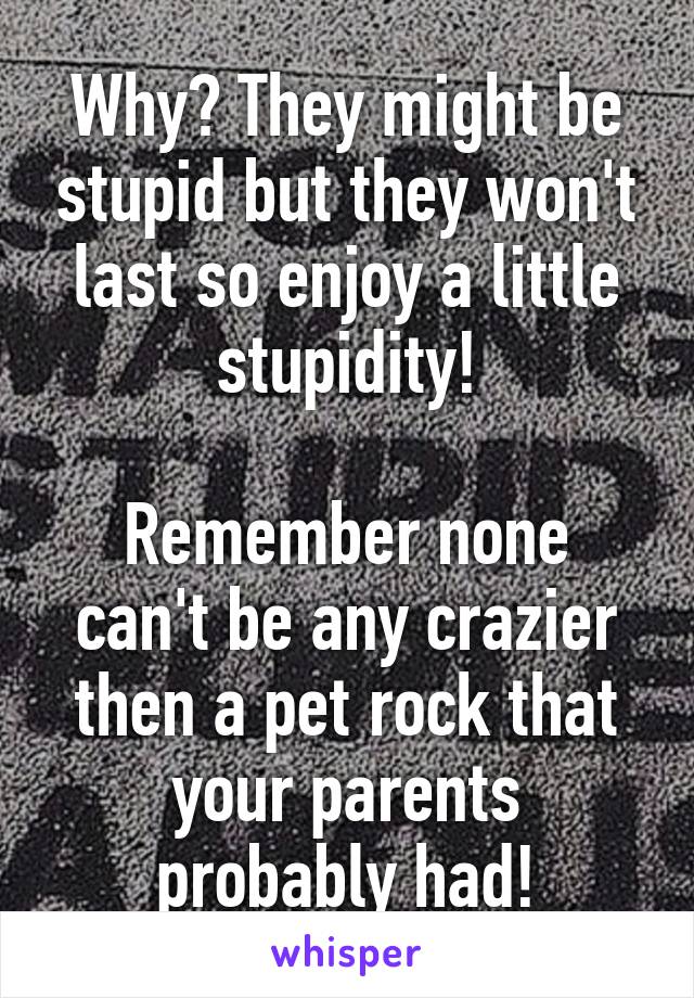 Why? They might be stupid but they won't last so enjoy a little stupidity!

Remember none can't be any crazier then a pet rock that your parents probably had!