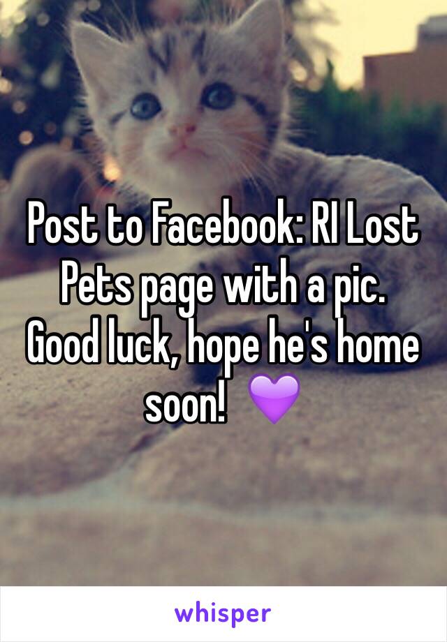 Post to Facebook: RI Lost Pets page with a pic. 
Good luck, hope he's home soon!  💜