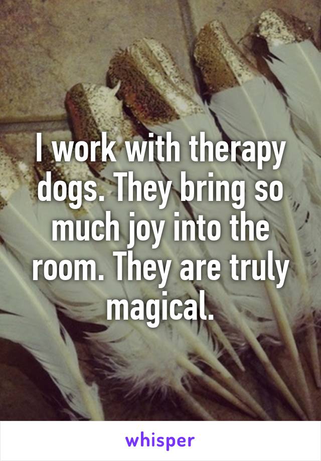 I work with therapy dogs. They bring so much joy into the room. They are truly magical.