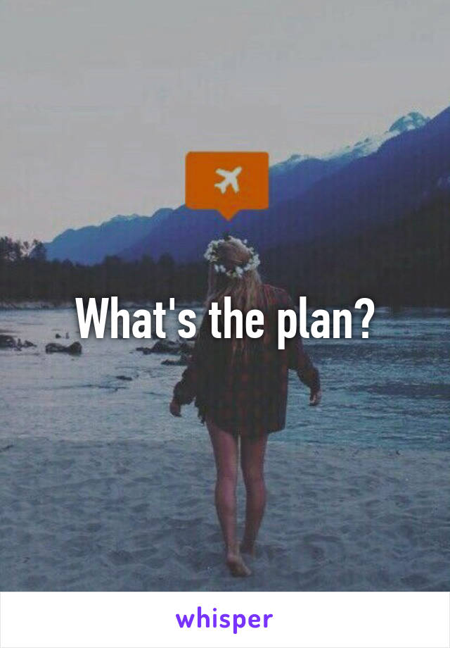 What's the plan?