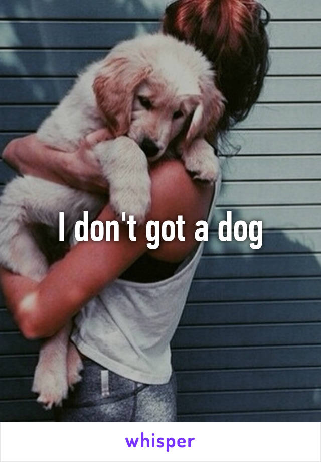 I don't got a dog