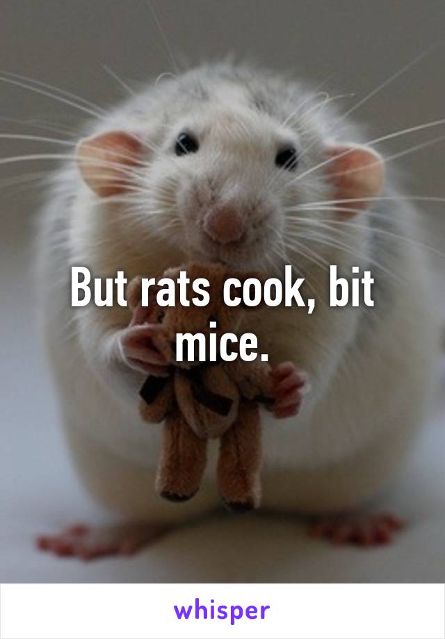 But rats cook, bit mice.