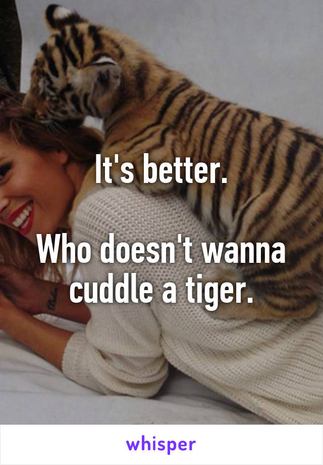 It's better.

Who doesn't wanna cuddle a tiger.
