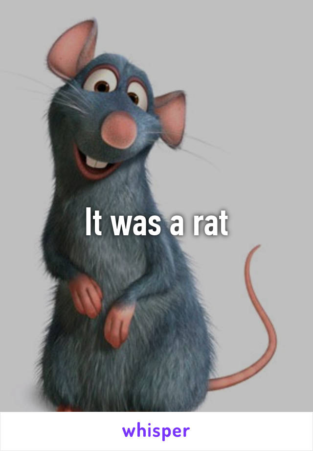 It was a rat