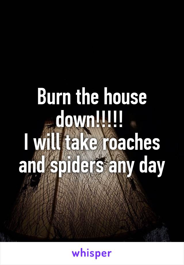 Burn the house down!!!!! 
I will take roaches and spiders any day
