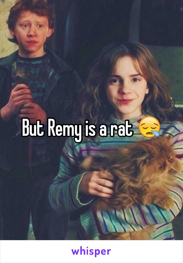 But Remy is a rat 😪