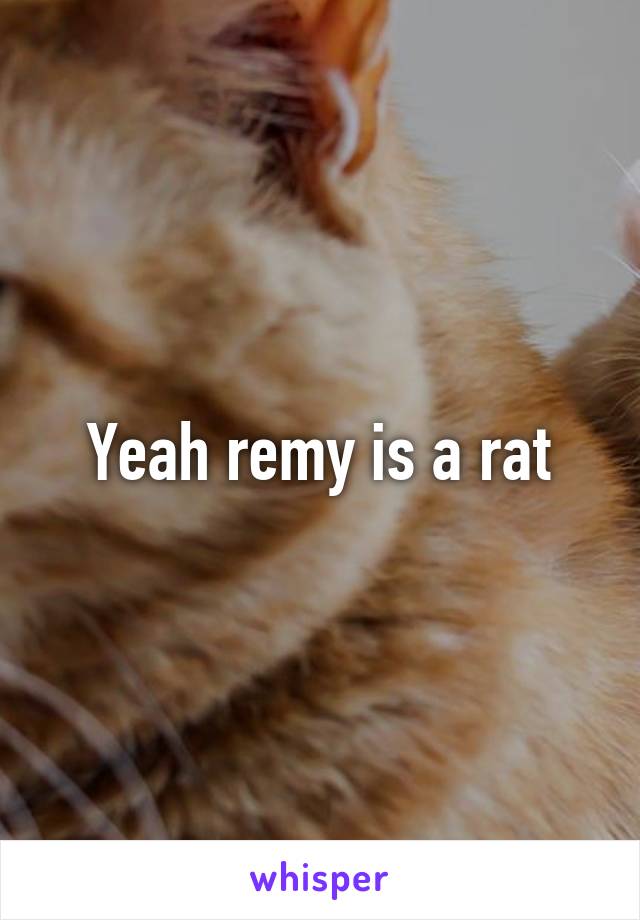 Yeah remy is a rat