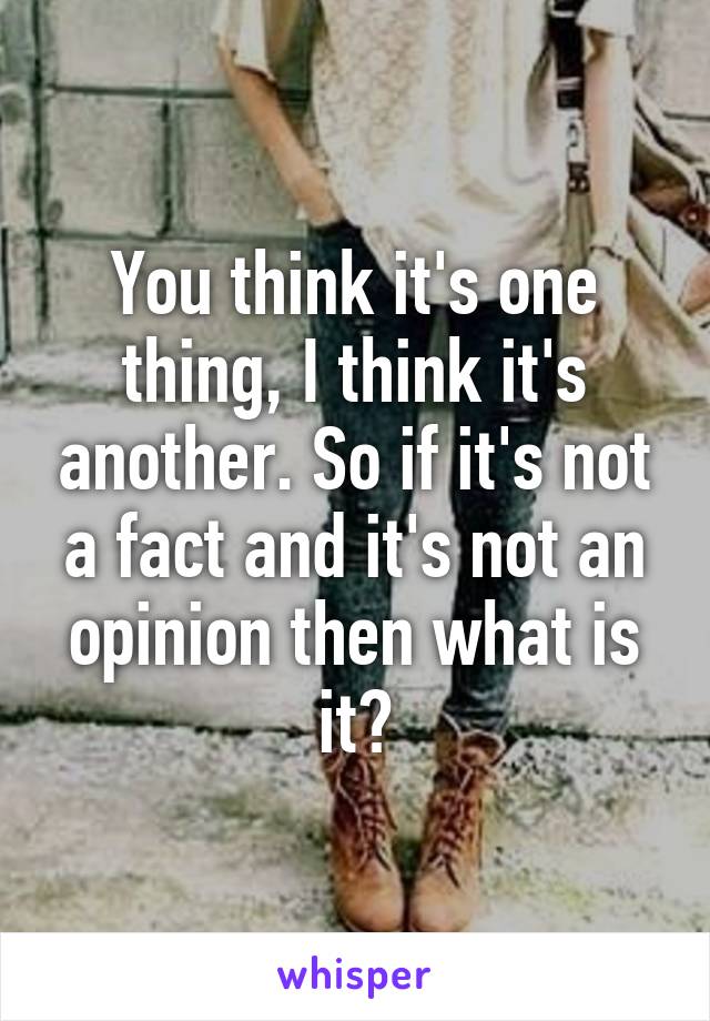 You think it's one thing, I think it's another. So if it's not a fact and it's not an opinion then what is it?