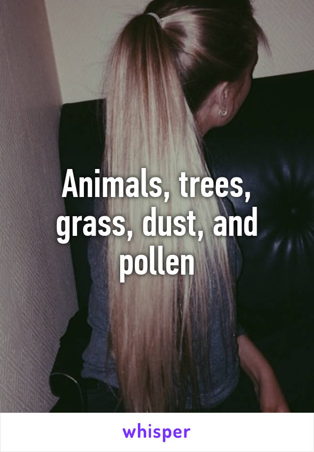 Animals, trees, grass, dust, and pollen