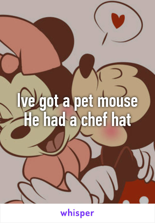 Ive got a pet mouse
He had a chef hat