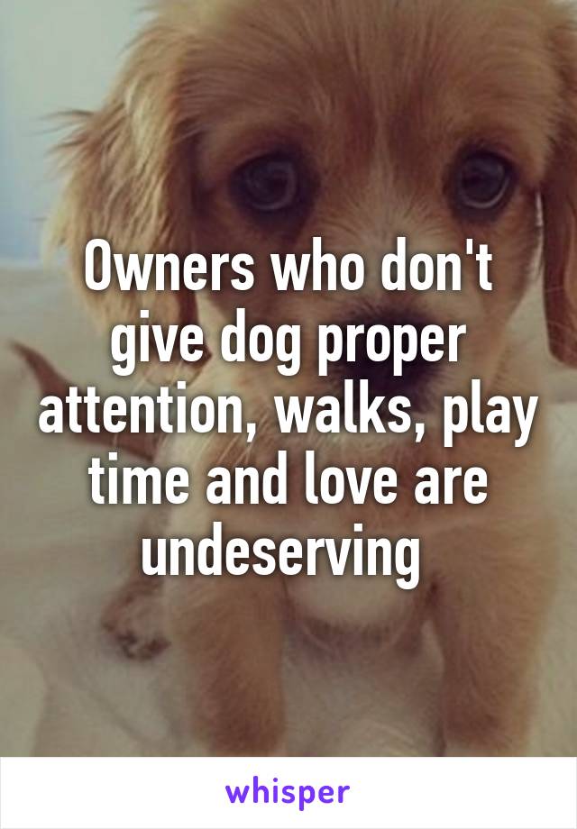Owners who don't give dog proper attention, walks, play time and love are undeserving 