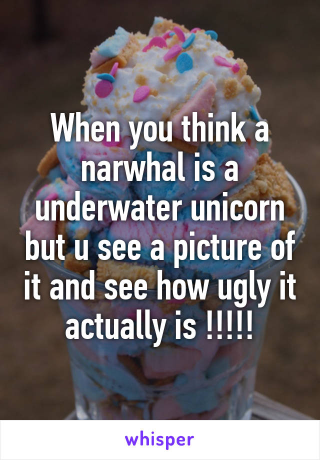 When you think a narwhal is a underwater unicorn but u see a picture of it and see how ugly it actually is !!!!!