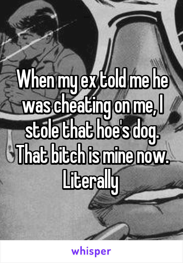 When my ex told me he was cheating on me, I stole that hoe's dog. That bitch is mine now. Literally 