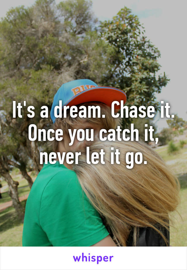 It's a dream. Chase it. Once you catch it, never let it go.