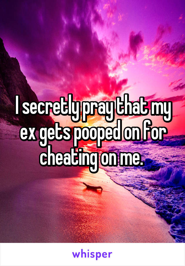I secretly pray that my ex gets pooped on for cheating on me. 