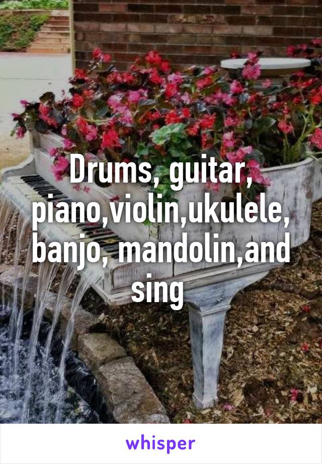 Drums, guitar, piano,violin,ukulele, banjo, mandolin,and sing 