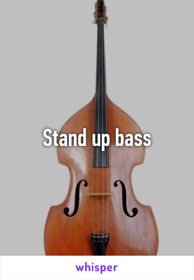 Stand up bass