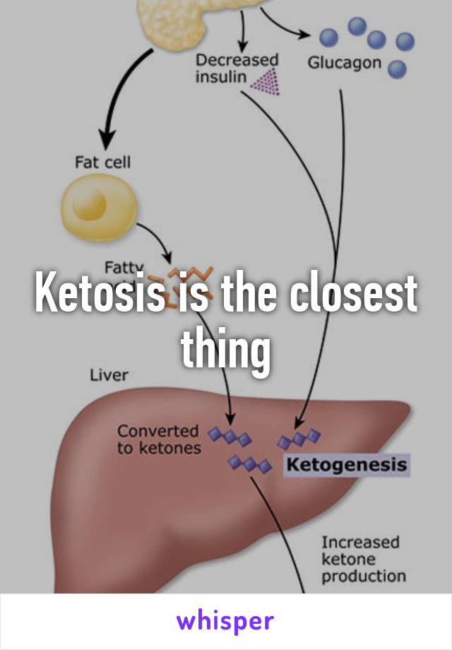 Ketosis is the closest thing