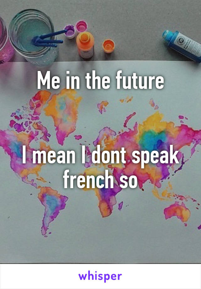 Me in the future


I mean I dont speak french so
