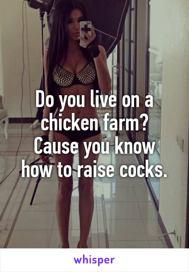 Do you live on a chicken farm?
Cause you know how to raise cocks.