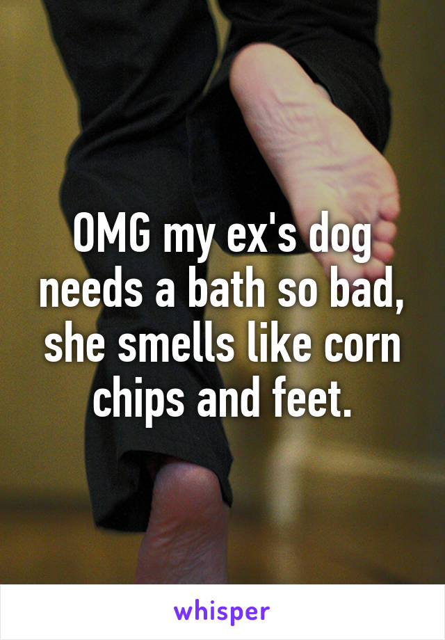 OMG my ex's dog needs a bath so bad, she smells like corn chips and feet.