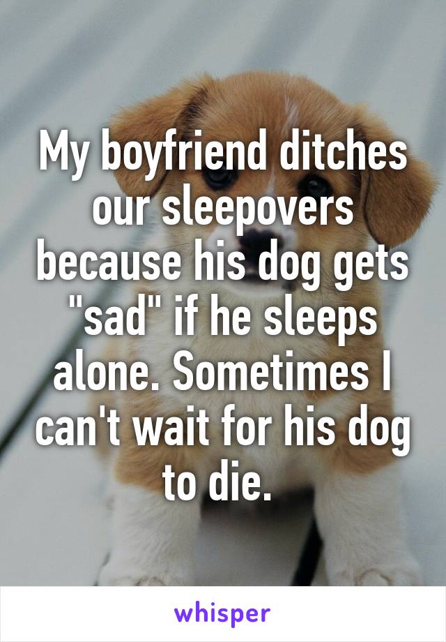 My boyfriend ditches our sleepovers because his dog gets "sad" if he sleeps alone. Sometimes I can't wait for his dog to die. 