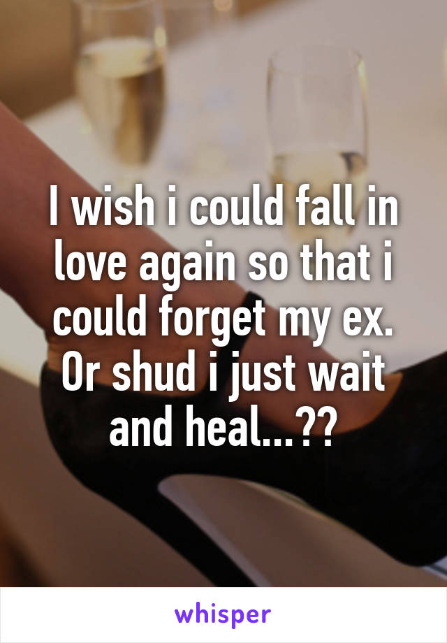I wish i could fall in love again so that i could forget my ex.
Or shud i just wait and heal...??