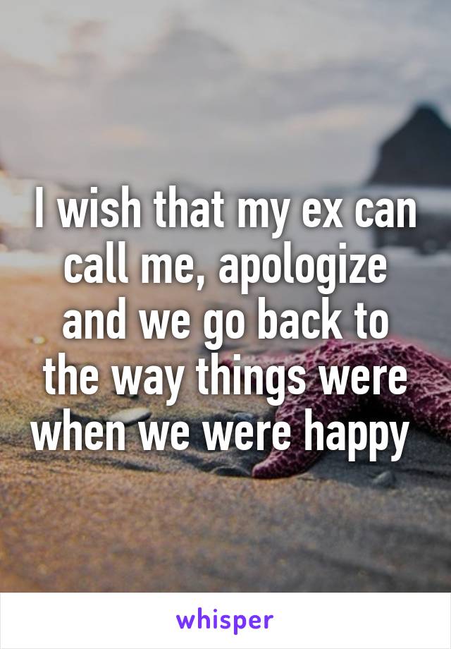 I wish that my ex can call me, apologize and we go back to the way things were when we were happy 