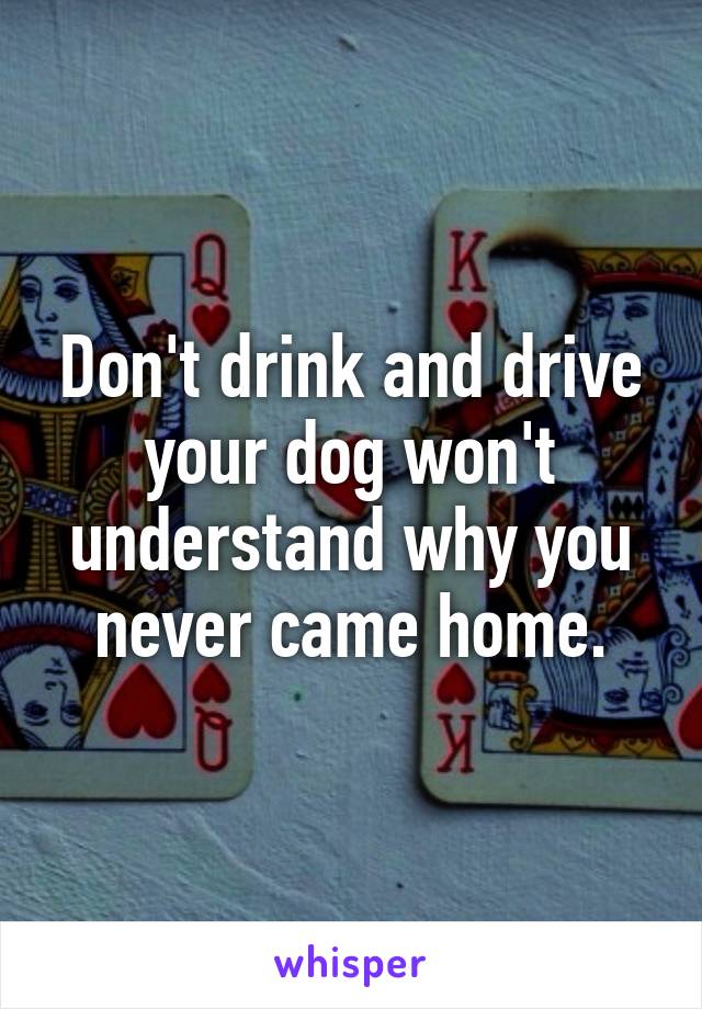 Don't drink and drive your dog won't understand why you never came home.