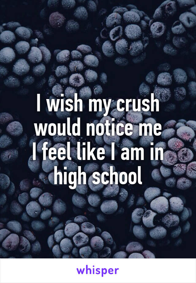 I wish my crush would notice me
I feel like I am in high school