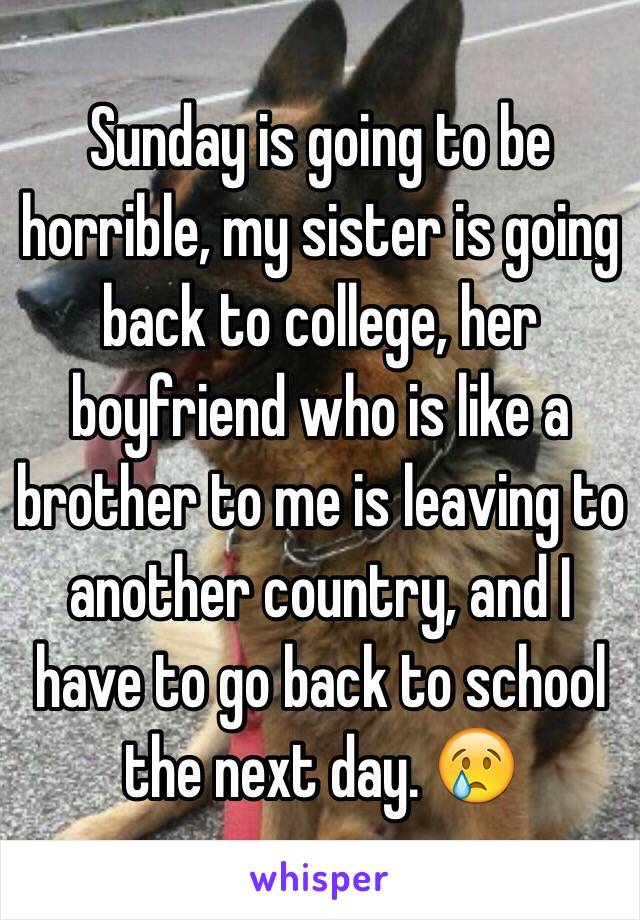 Sunday is going to be horrible, my sister is going back to college, her boyfriend who is like a brother to me is leaving to another country, and I have to go back to school the next day. 😢