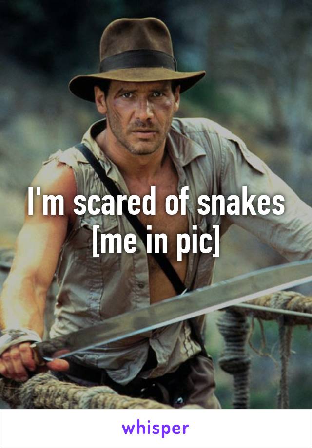 I'm scared of snakes
[me in pic]