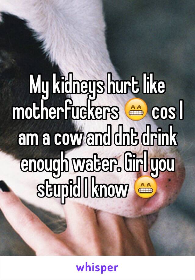 My kidneys hurt like motherfuckers 😁 cos I am a cow and dnt drink enough water. Girl you stupid I know 😁
