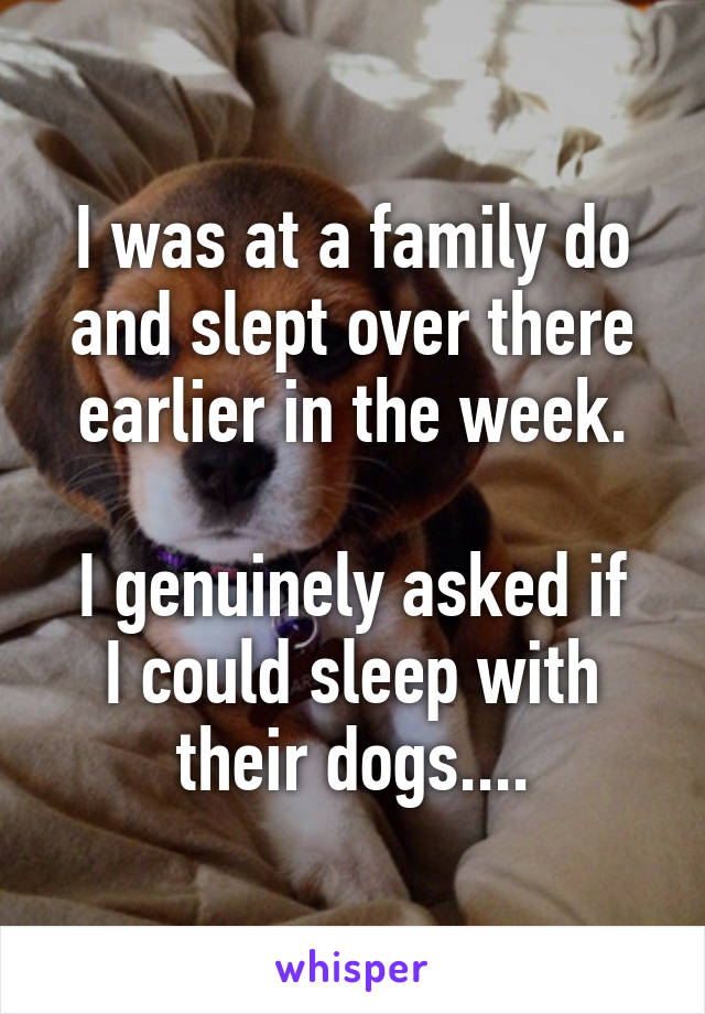 I was at a family do and slept over there earlier in the week.

I genuinely asked if I could sleep with their dogs....