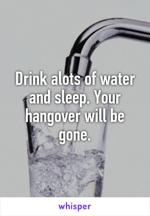 Drink alots of water and sleep. Your hangover will be gone.