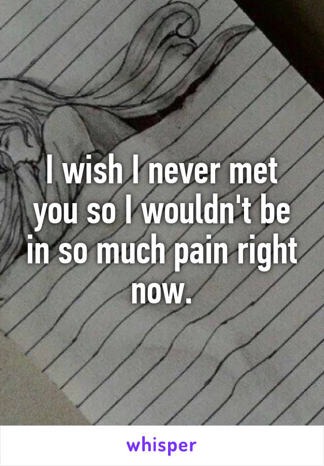 I wish I never met you so I wouldn't be in so much pain right now.