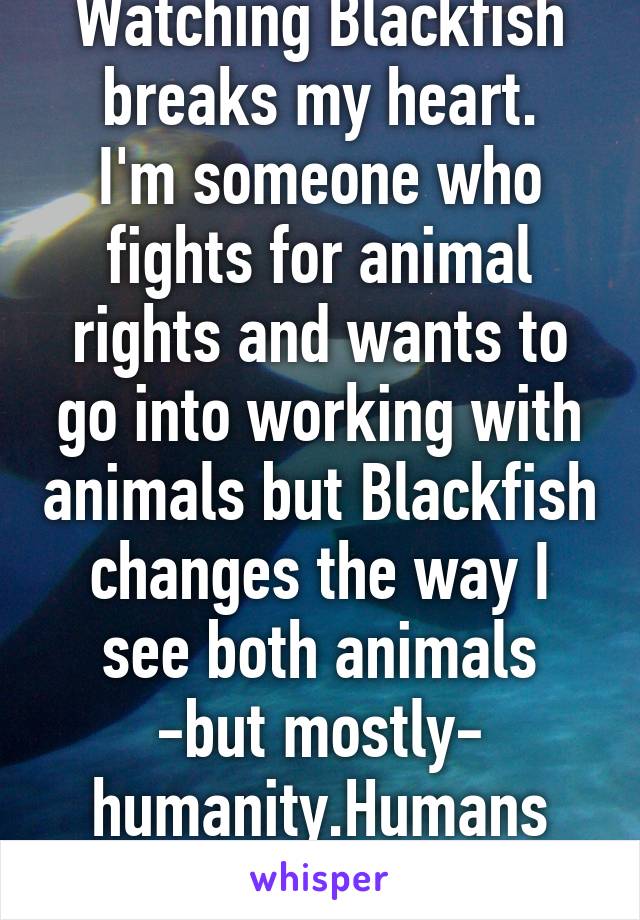 Watching Blackfish breaks my heart.
I'm someone who fights for animal rights and wants to go into working with animals but Blackfish changes the way I see both animals -but mostly- humanity.Humans can be evil