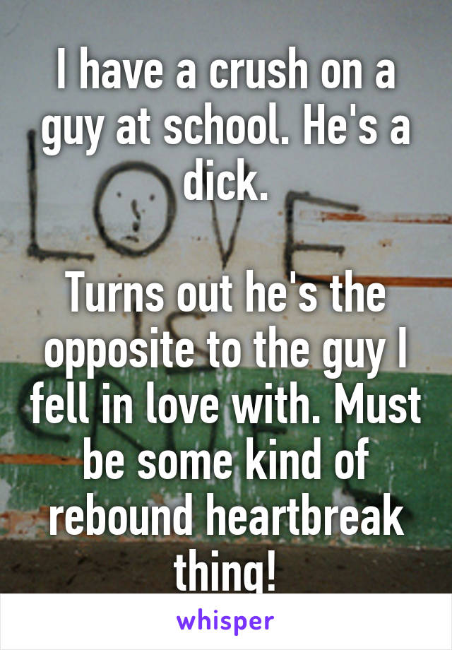 I have a crush on a guy at school. He's a dick.

Turns out he's the opposite to the guy I fell in love with. Must be some kind of rebound heartbreak thing!