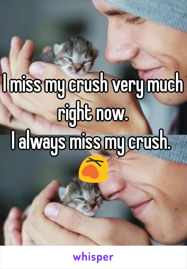 I miss my crush very much right now. 
I always miss my crush. 
😵