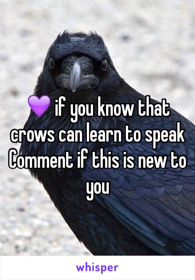 💜 if you know that crows can learn to speak 
Comment if this is new to you 
