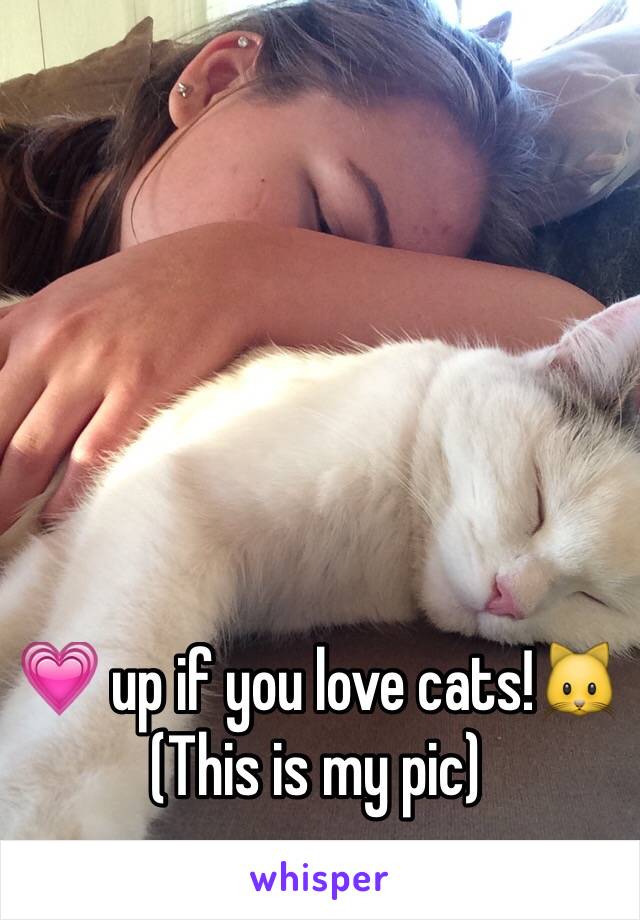💗 up if you love cats!🐱
(This is my pic)