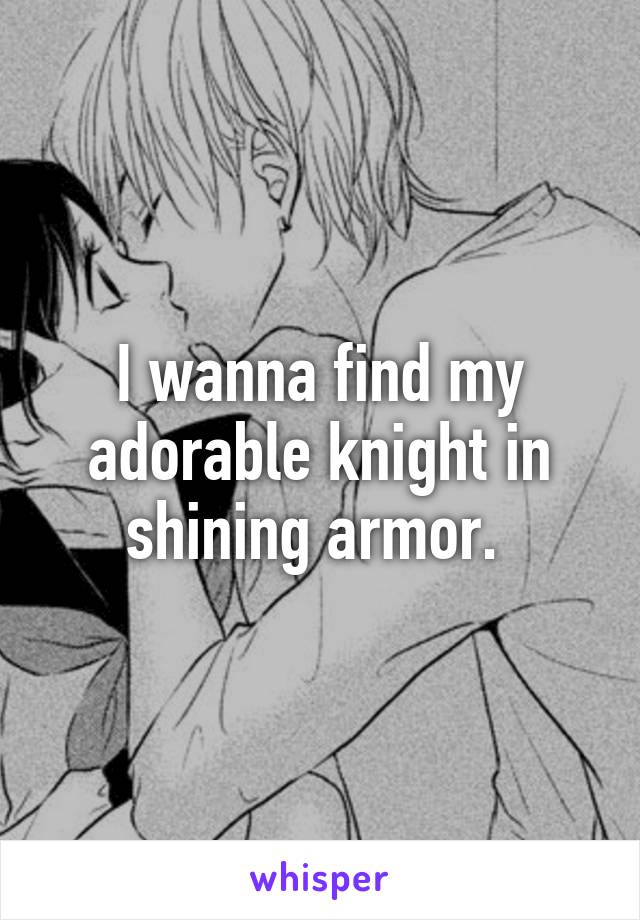 I wanna find my adorable knight in shining armor. 