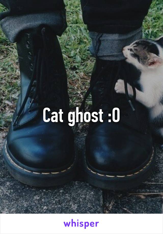 Cat ghost :O